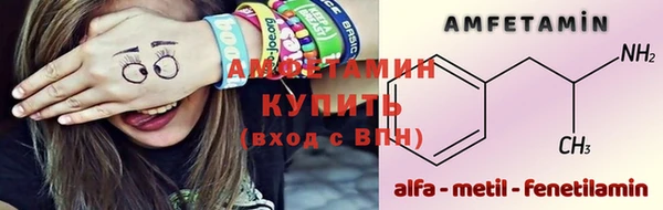 молекула духа Богородицк