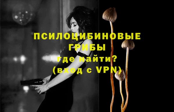 СК Богданович