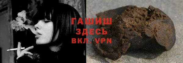 молекула духа Богородицк