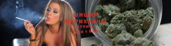 молекула духа Богородицк