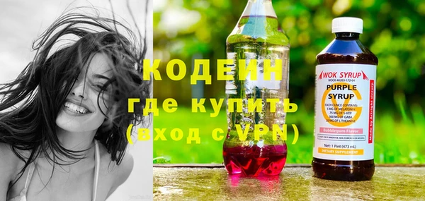 молекула духа Богородицк