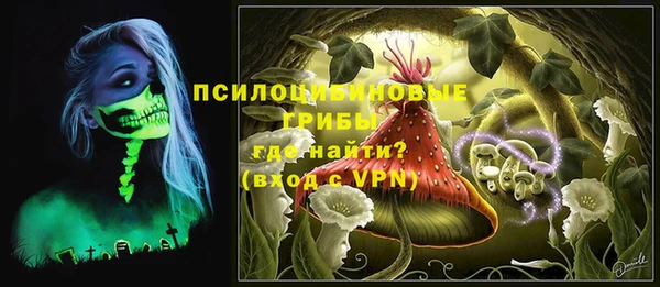 СК Богданович