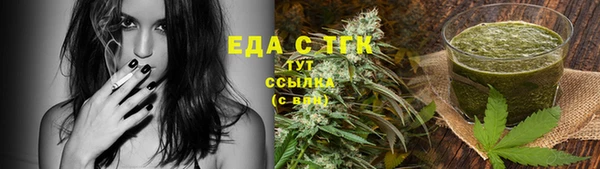 молекула духа Богородицк