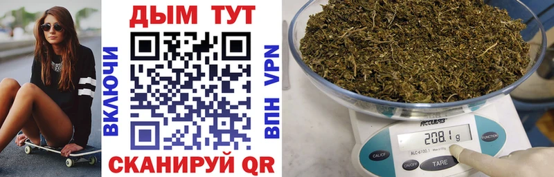 Каннабис сатива  Купить где  Тавда 